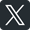 x-icon